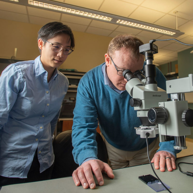 Thomas O’Sullivan and Alicia Wei using a microscope