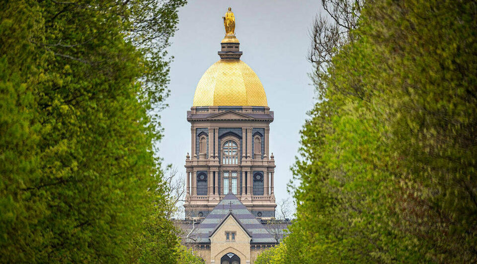 Main Building framed by Notre Dame Avenue trees. Photo by Matt Cashore/University of Notre Dame.