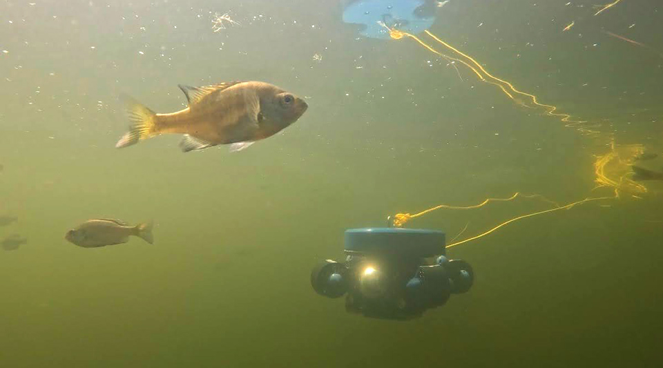 Miniature Underwater Vehicle (MUR) in field test, Lake Crampton, UNDERC, Wisconsin